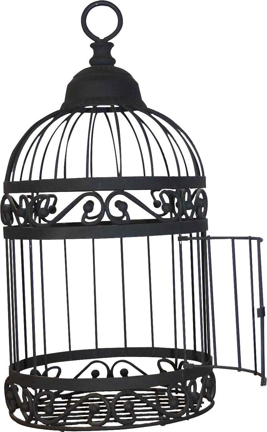 Birdcage Transparent Images - Open Bird Cage Png Clipart (928x1460), Png Download