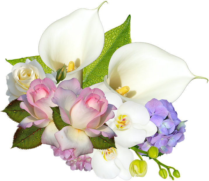 Cluster Scrapbooking Wedding Flowers Romance Calla - Women Of Paradise Clipart (720x720), Png Download