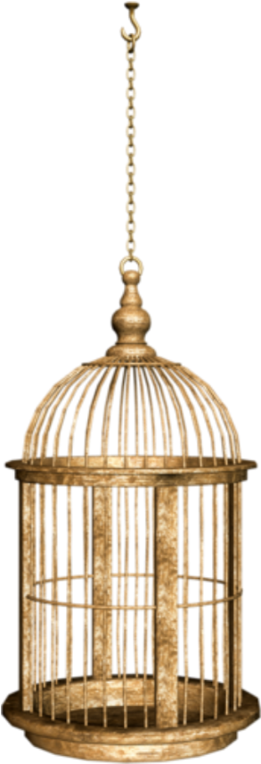 #birdcage #cage Clipart (1024x1024), Png Download
