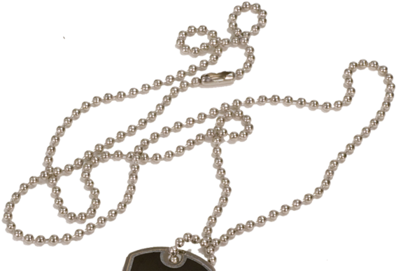 Metal Neck Chain For Dog Tags - Png Images Of Silver Chains For Dog Tags Clipart (600x600), Png Download