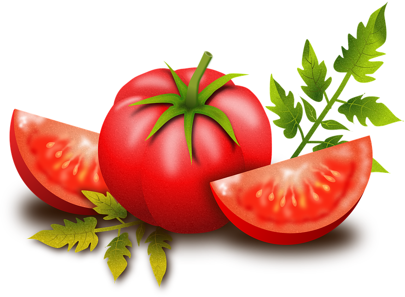Featured image of post Frutas Y Verduras Png Hd