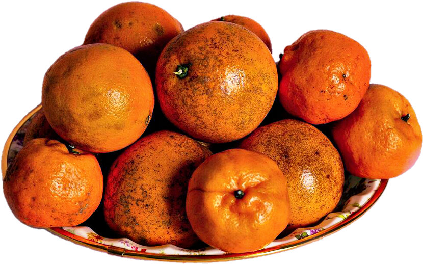 Fruit Clipart (1024x1023), Png Download