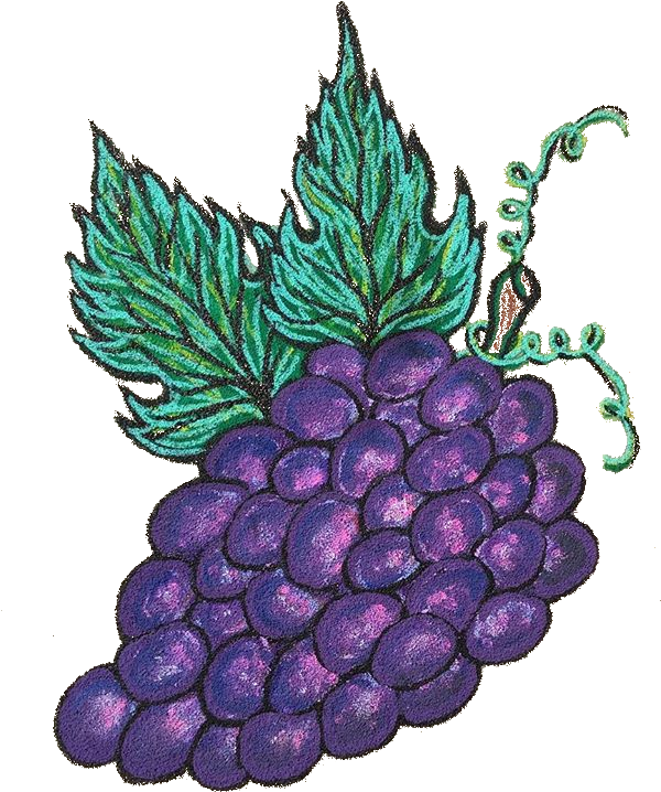 ¿what The Fruta Clipart (750x750), Png Download