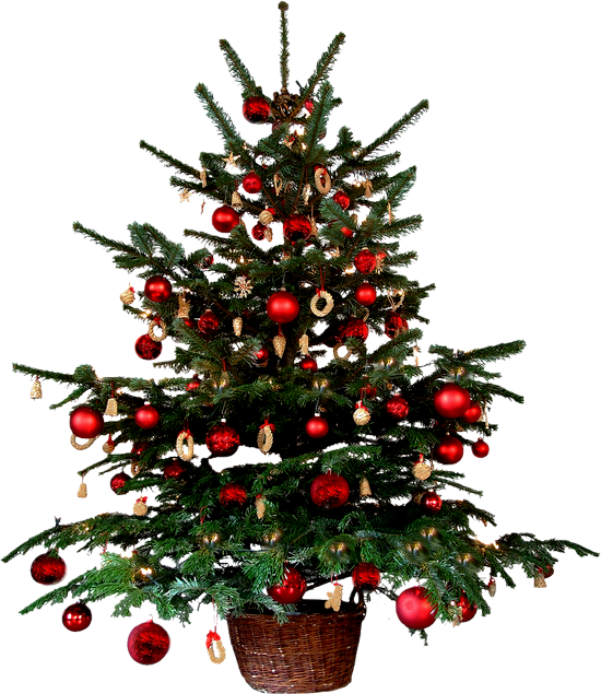 Renders De Navidad , Png Download - Sending You Blessings At Christmas Clipart (550x635), Png Download