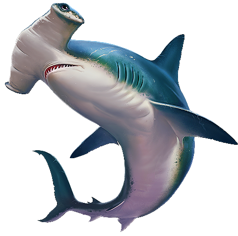Why Is A Thresher Shark's Tail So Long And What's A - Tiger Shark Clipart (850x478), Png Download