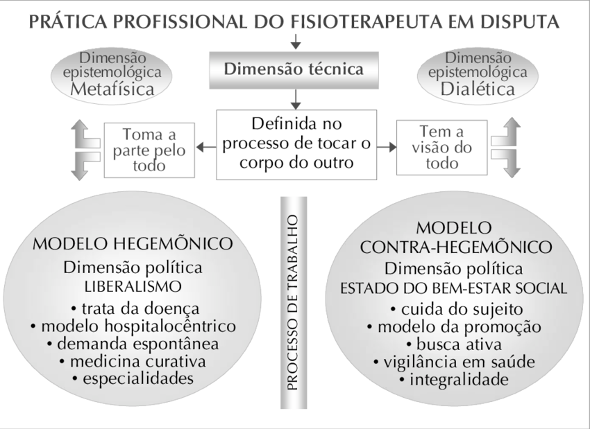 Modelos De Atuação Profissional Do Fisioterapeuta Clipart (850x619), Png Download