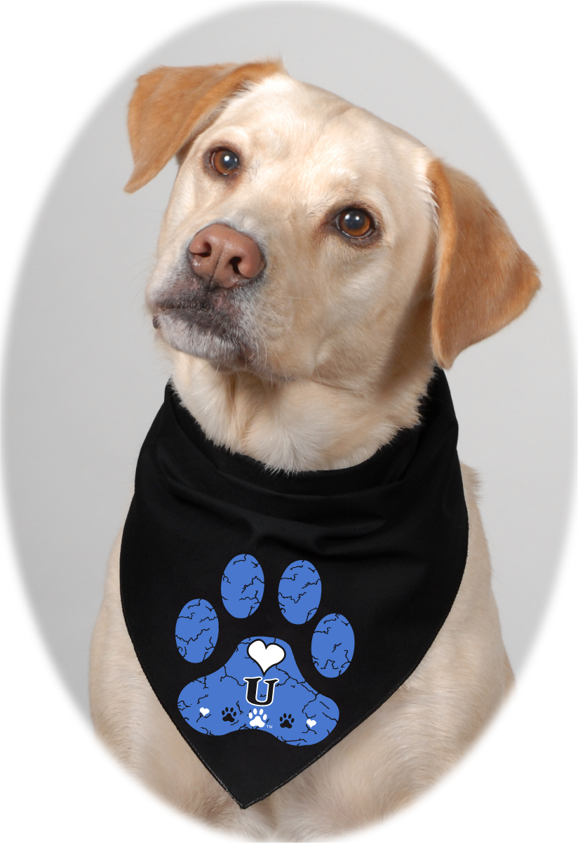 White And Crackled Blue Skies On Black Bandana Clipart (824x1201), Png Download