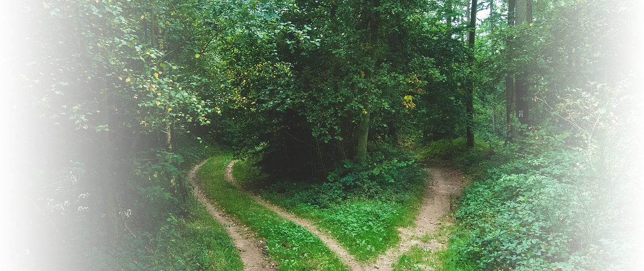 Explore The Path That Is Right For You Clipart (1282x539), Png Download