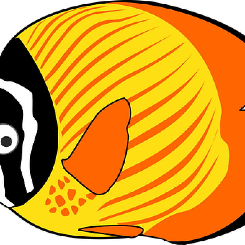 Cartoon Fish Clipart Cartoon Fish Images Pixabay Download - Png Download (1024x1024), Png Download