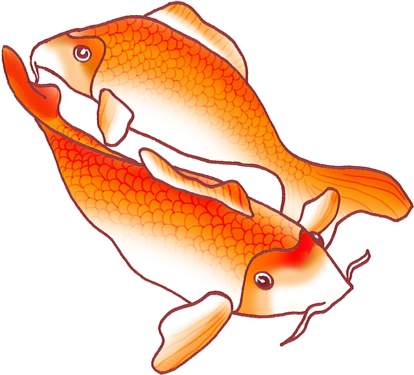 Koi Fish Png Clipart (886x854), Png Download