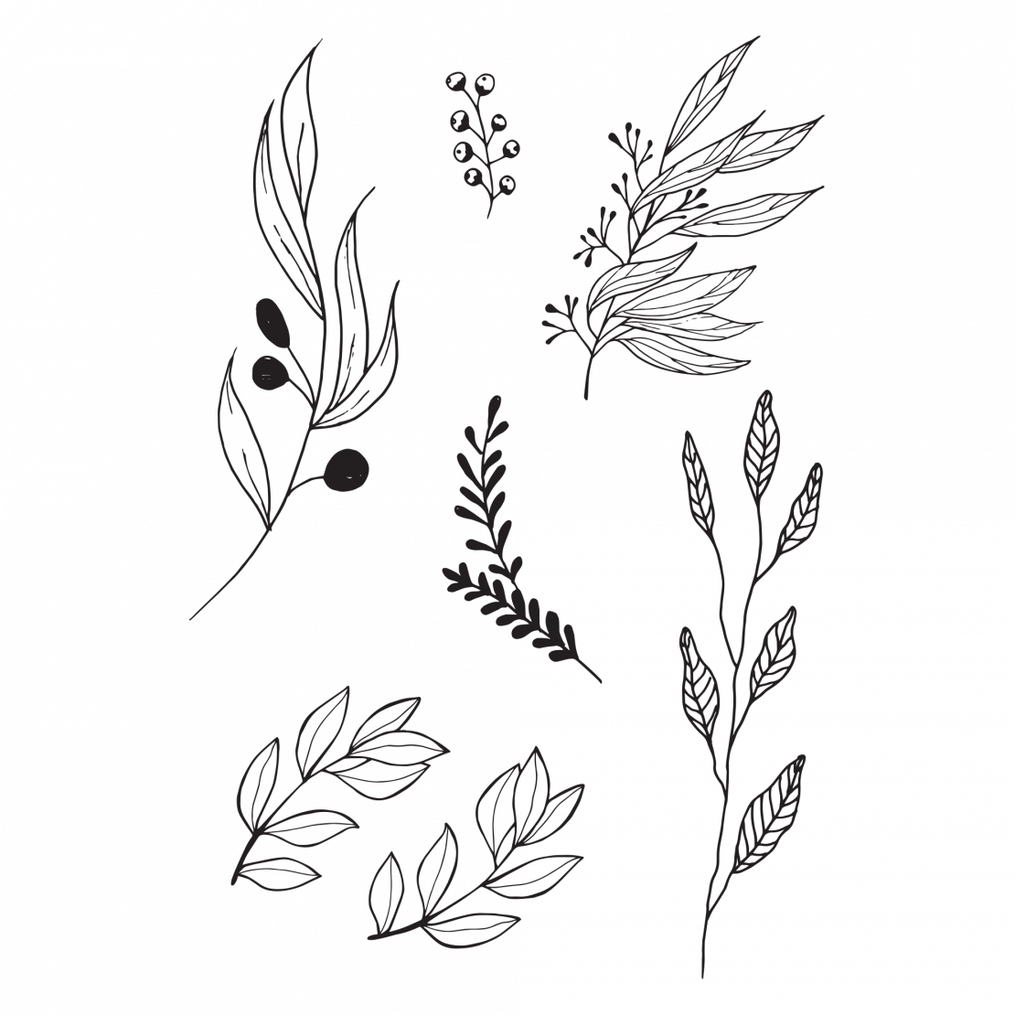 Black Twigs Set Clipart (1110x1110), Png Download