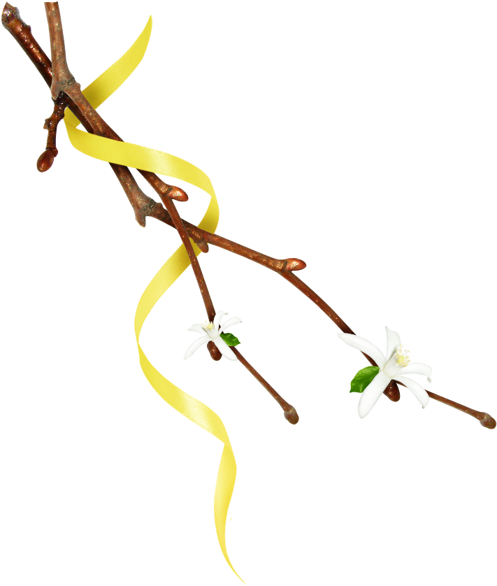#mq #twig #twigs #leafs #leaf #leaves #nature #yellow - Twig Clipart (1024x1024), Png Download