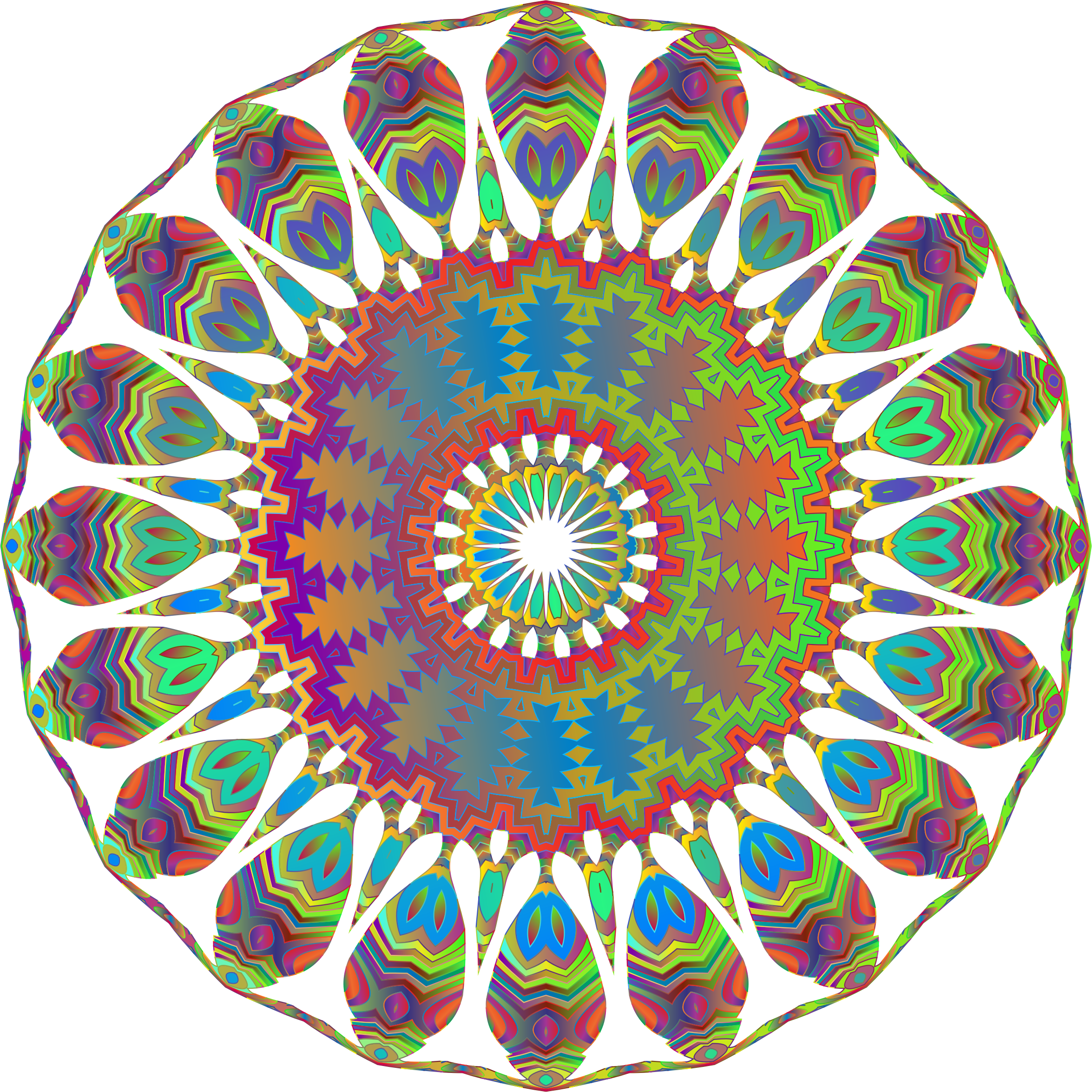 Big Image Clipart (2350x2350), Png Download