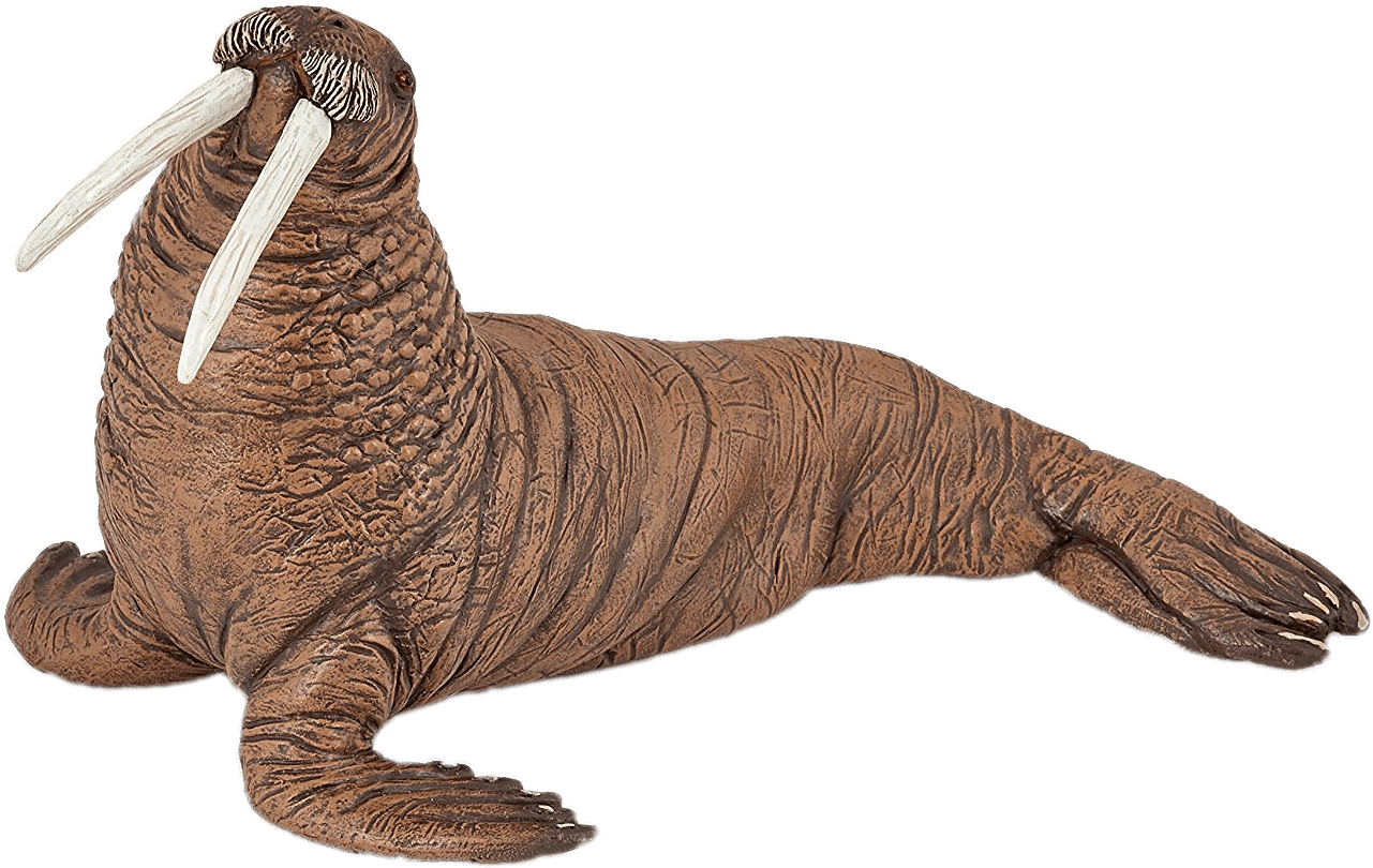 Animals - Walruses Clipart (1500x967), Png Download