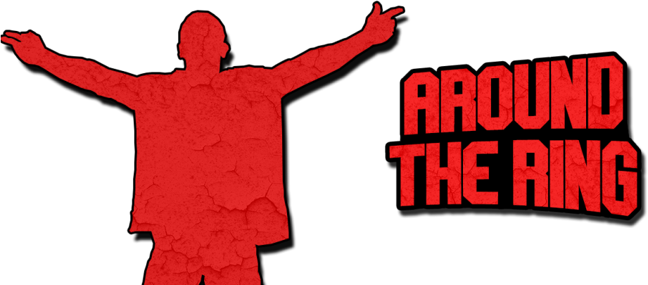 Eagle Clipart Wrestling - Illustration - Png Download (1000x414), Png Download