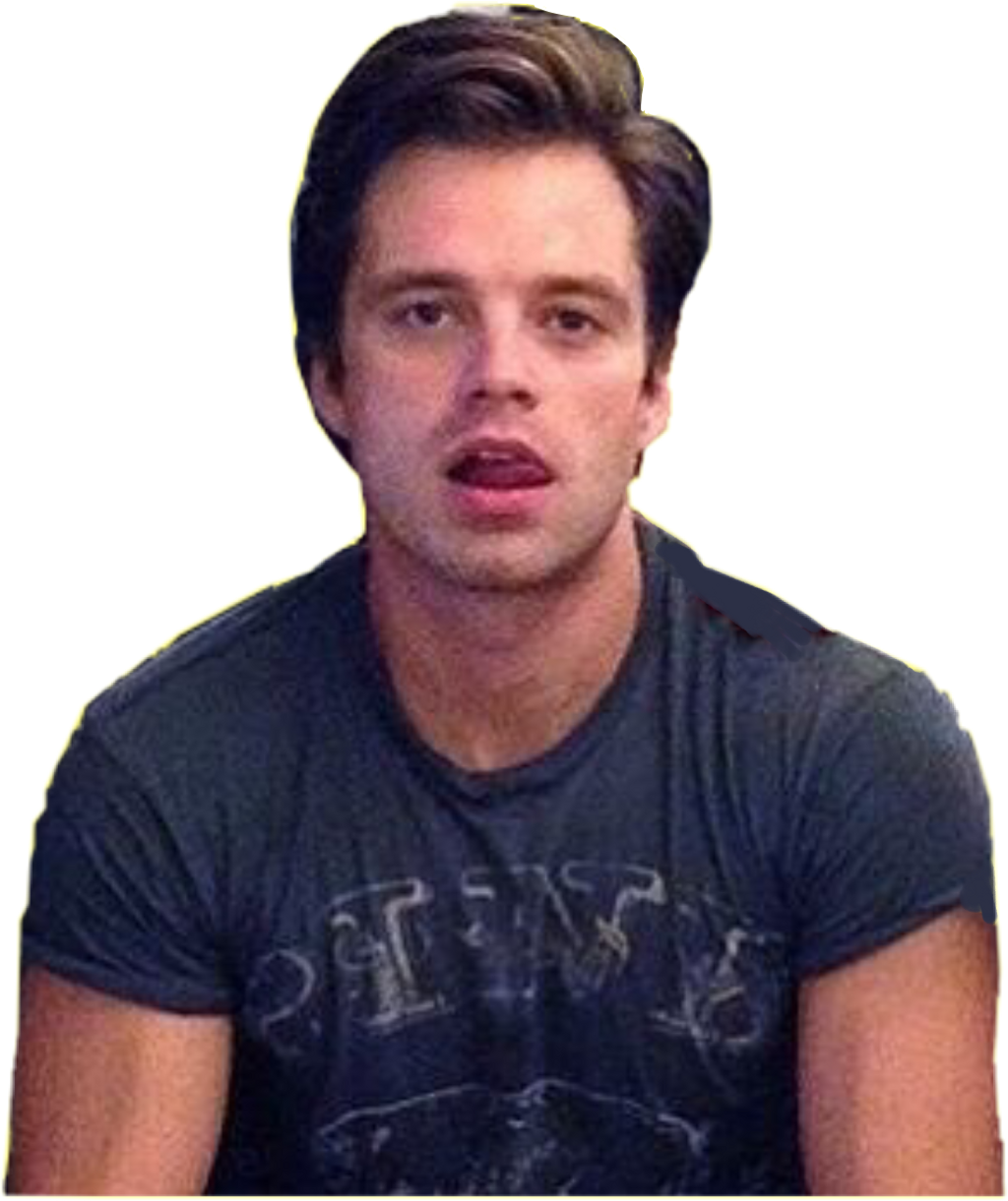 #sebastian Stan #freetoedit Clipart (1024x1221), Png Download