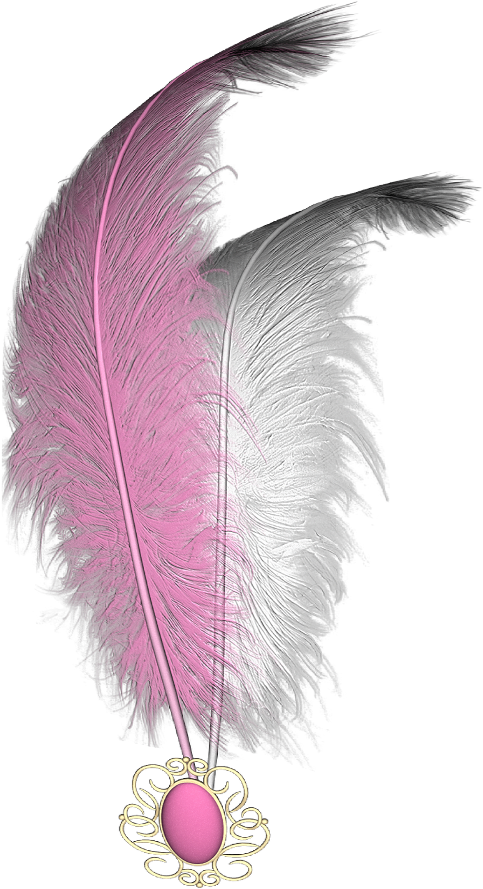 #mq #pink #white #feather #feathers - Feather Clipart (1024x1024), Png Download