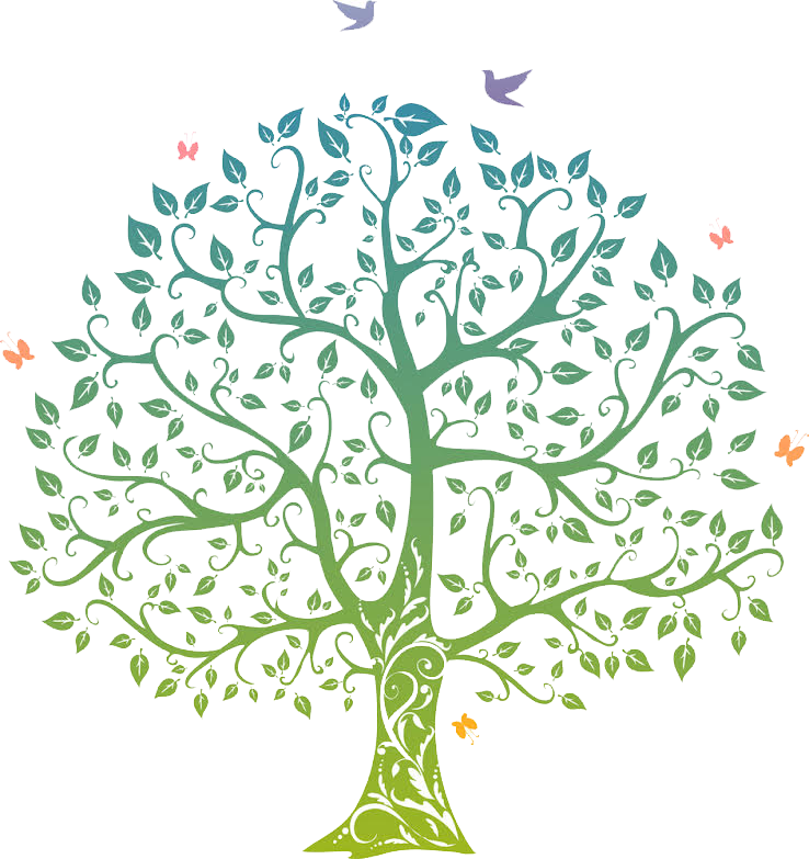 About Dr Foo - Tree Of Life Clipart (738x783), Png Download