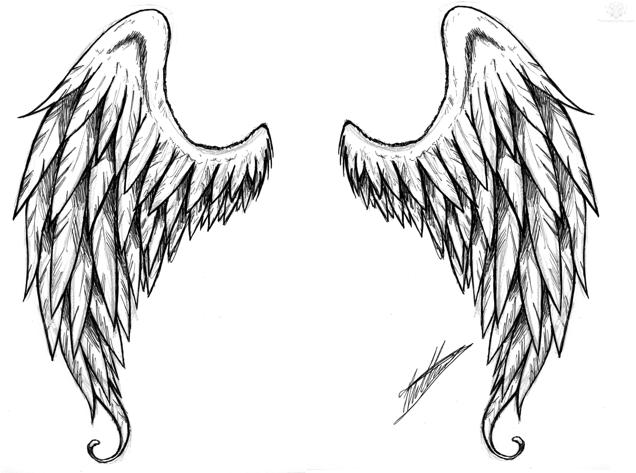 2304 X 1644 3 - Supernatural Angel Wings Drawing Clipart (2304x1644), Png Download