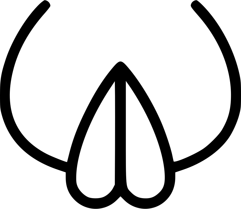 Vagina Png - Vagina Clipart Png Transparent Png (980x848), Png Download