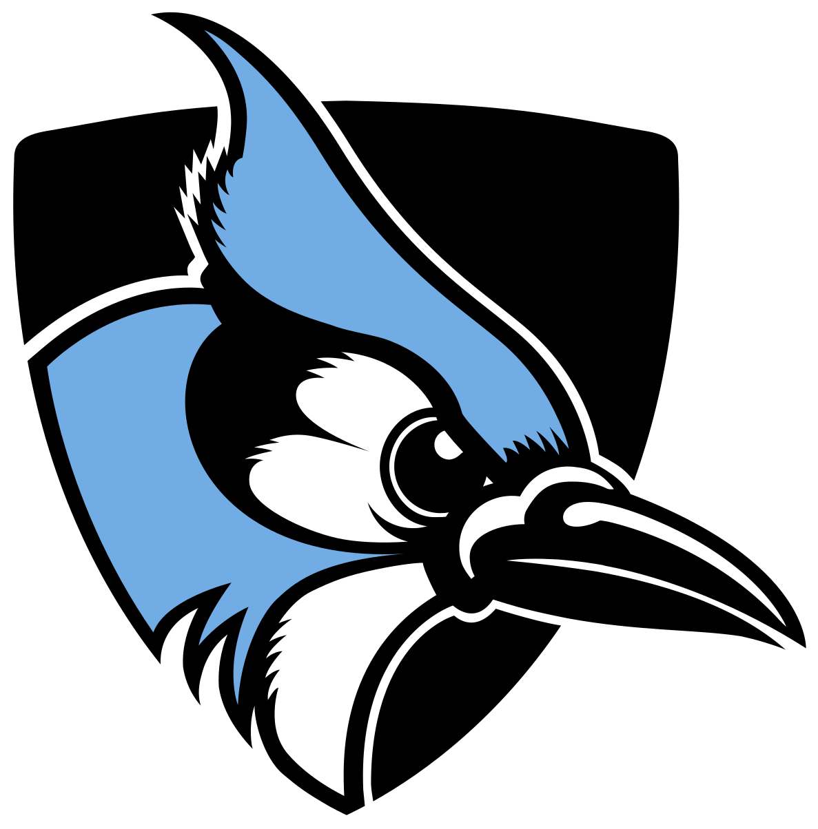 Johns Hopkins Blue Jays - Johns Hopkins University Blue Jays Clipart (1200x1223), Png Download