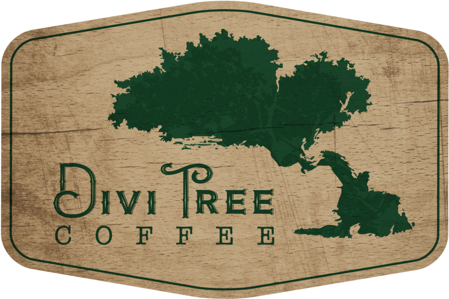 Tree Logo Png Clipart (1000x959), Png Download