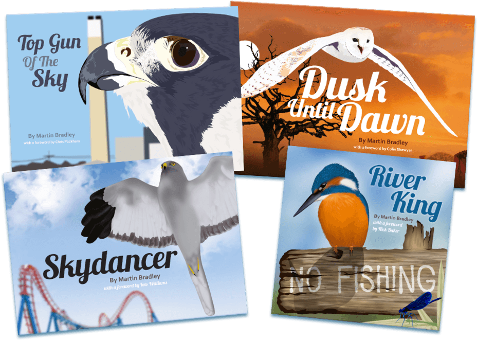 Martin Bradley Collection - Flyer Clipart (960x686), Png Download