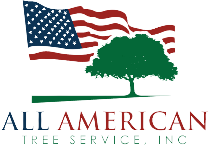Logo-bg - American Flag Tree Logo Clipart (800x557), Png Download