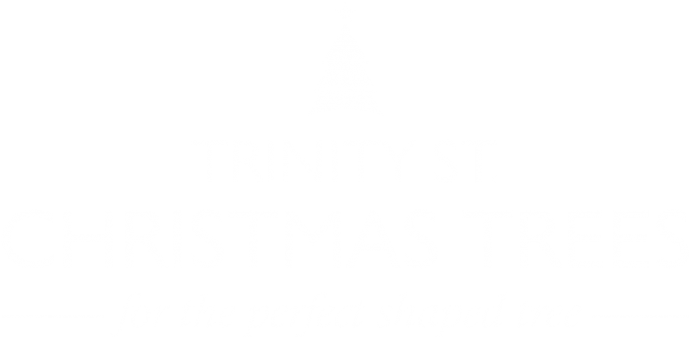 Trinity Street Christmas Tree Logo - Christmas Tree Clipart (1024x524), Png Download