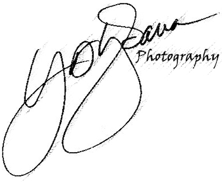 Professional Photographer - Line Art Clipart (720x589), Png Download