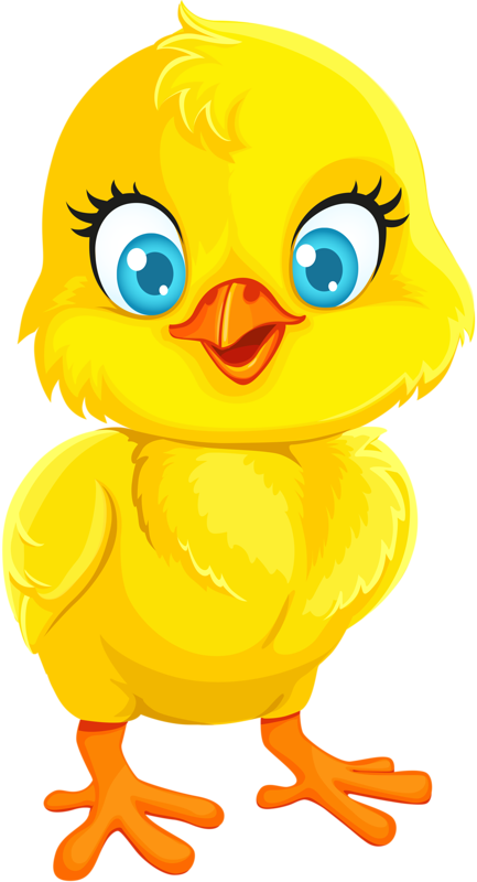 Wheelchair Turkey Clipart - Baby Chick Cartoon - Png Download (433x800), Png Download