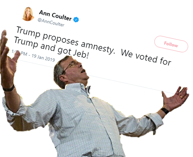 Ann Coulter @anncoulter Follow Trump Proposes Amnesty - Jeb Wins Clipart (643x525), Png Download