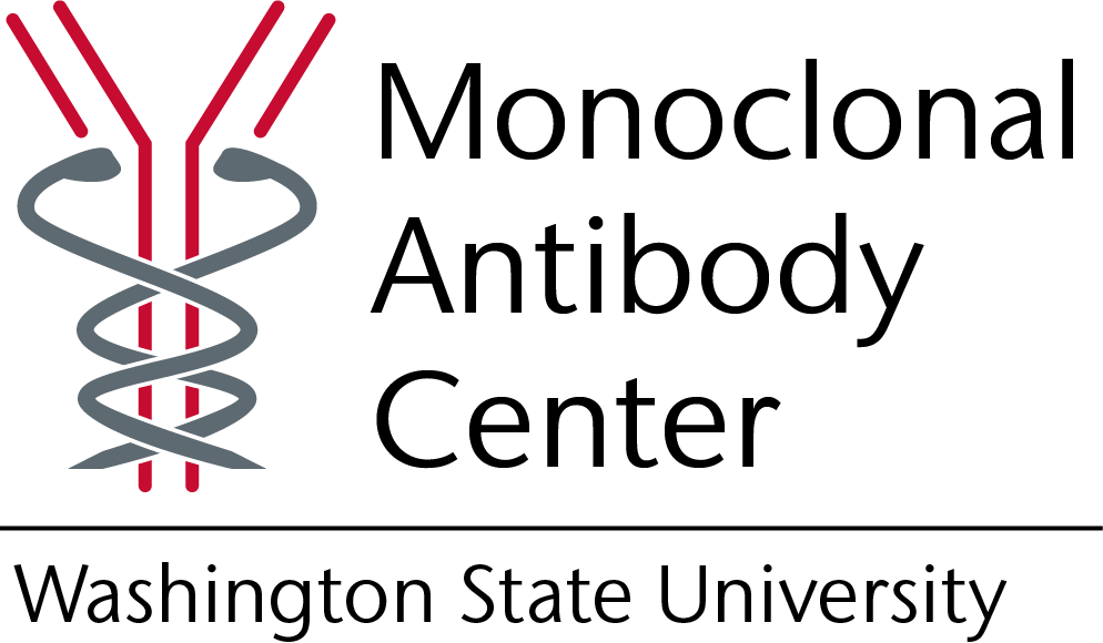 Mab Badge - Calligraphy Clipart (994x580), Png Download