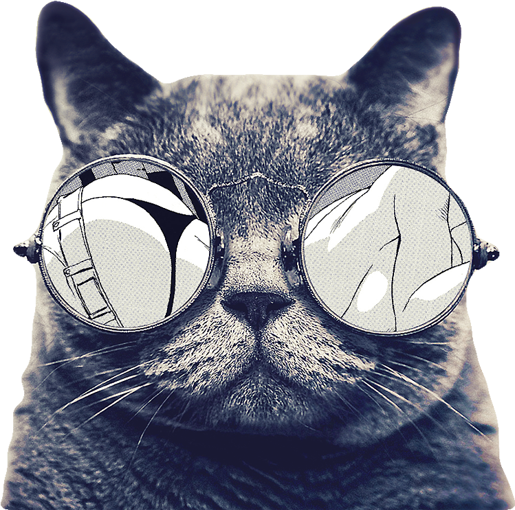 Sunglasses Icon With Cat Free Transparent Image Hq Clipart (975x930), Png Download