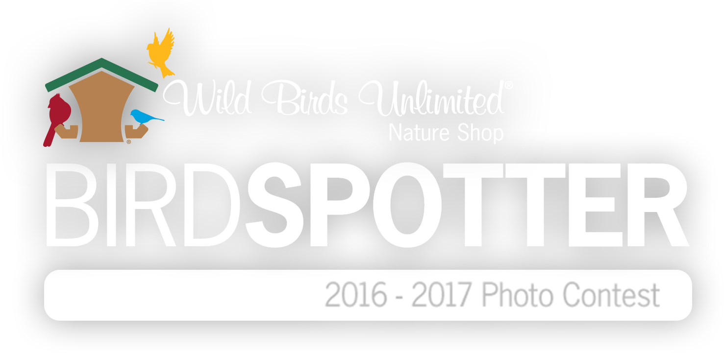 Wild Birds Unlimited - Graphic Design Clipart (1500x720), Png Download