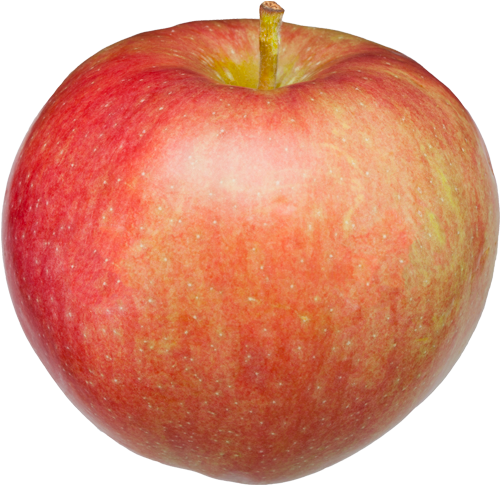 Paula Red Apple Apple - Paula Red Apple Png Clipart (700x500), Png Download