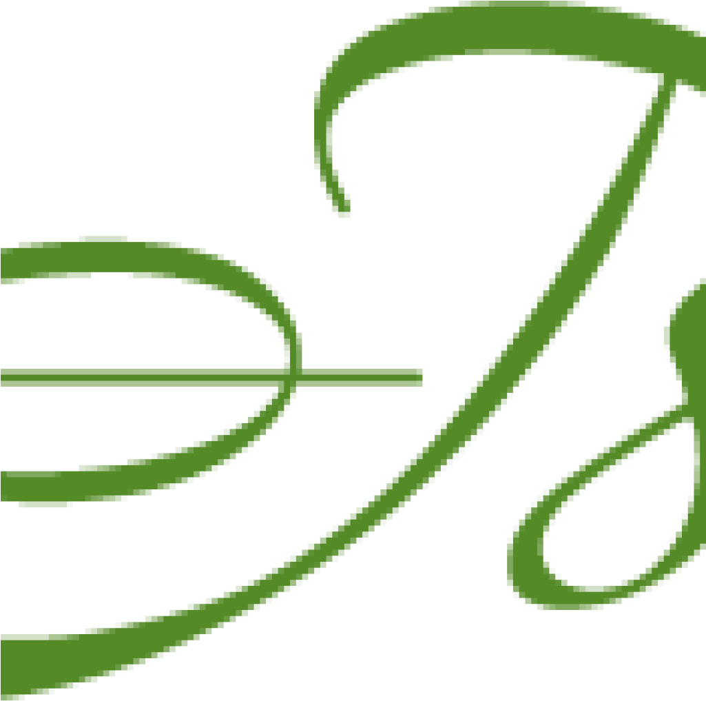 Swirl Divider B - Line Art Clipart (1024x1024), Png Download