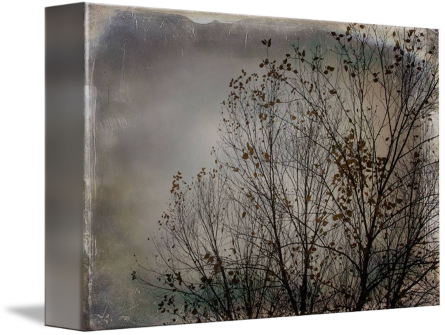 River Birch Png - Wood Clipart (650x489), Png Download