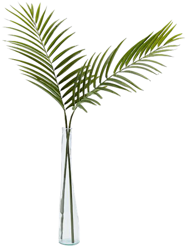 Vase With Palm Leaves Clipart (600x600), Png Download