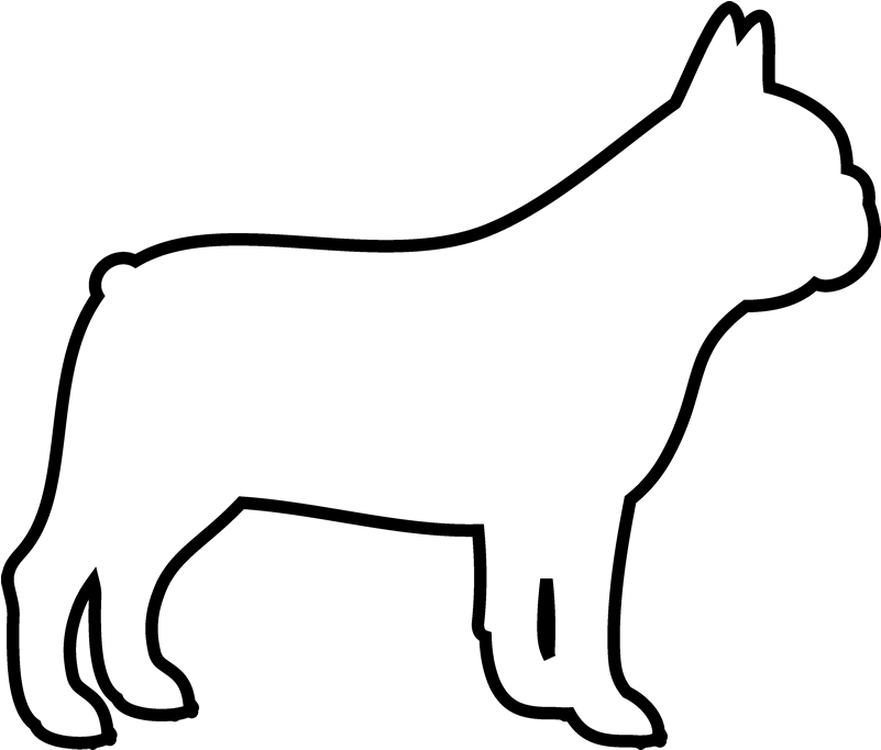 French Bulldog - French Bulldog Face Outline Clipart (800x800), Png Download