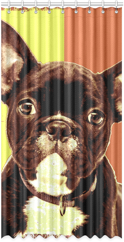 French Bulldog Clipart (1000x1000), Png Download