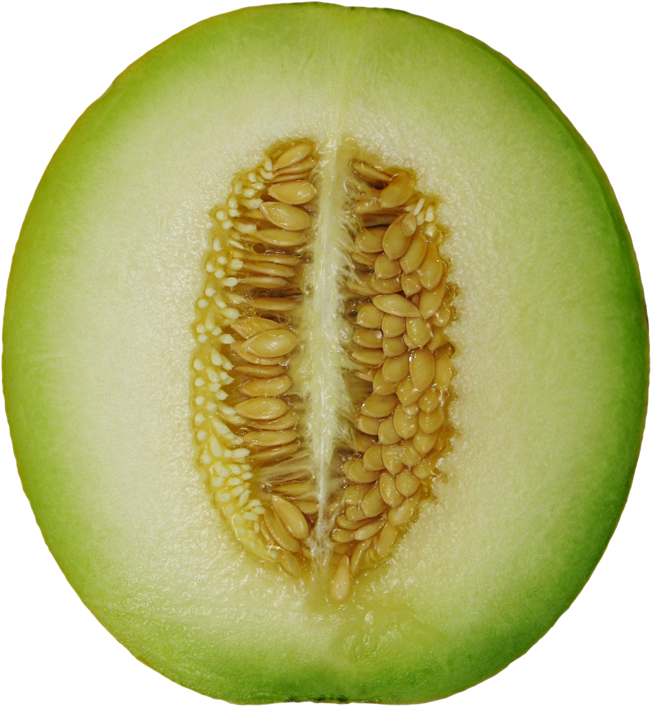 Winter Melon - Winter Melon Png Clipart (1017x1088), Png Download