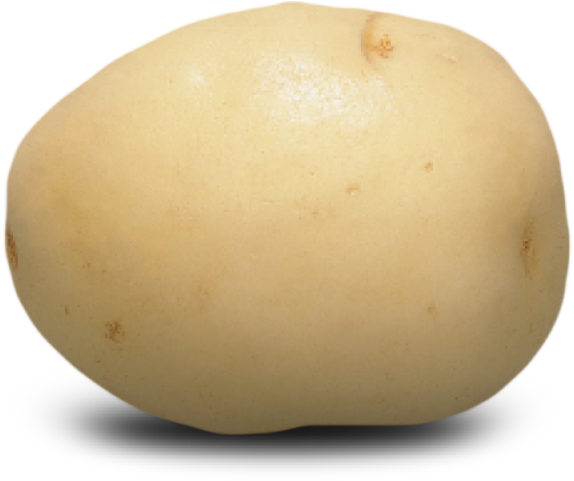 White Potato Clipart (641x480), Png Download