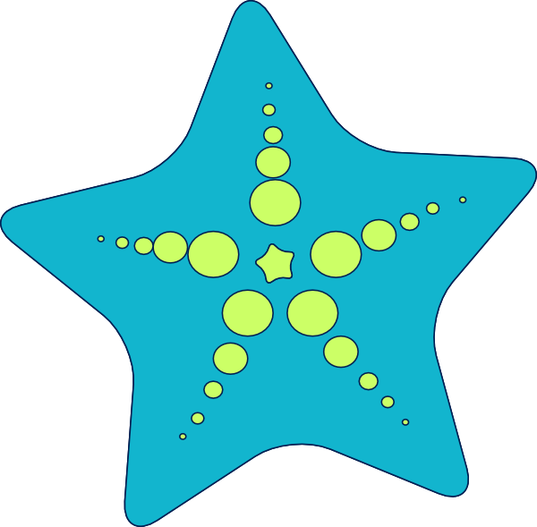 Small - Estrella De Mar Png Clipart (600x589), Png Download