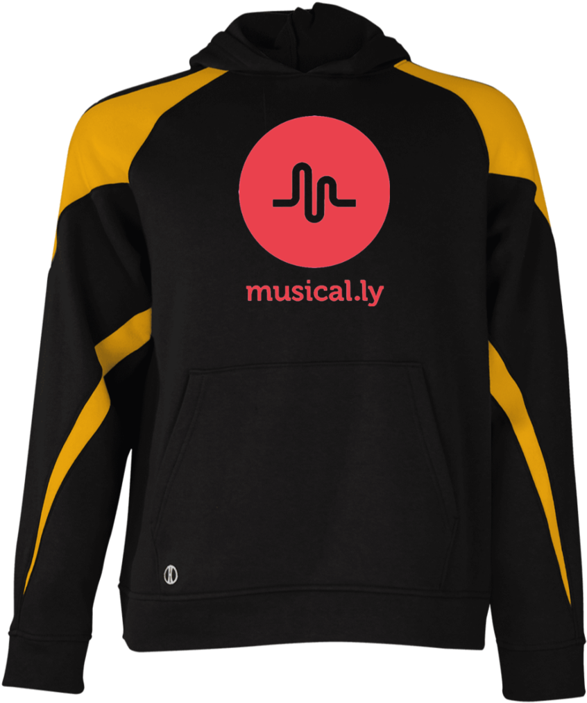 Musically Youth Colorblock Hoodie Sweatshirts - Sweatshirt Clipart (1024x1024), Png Download