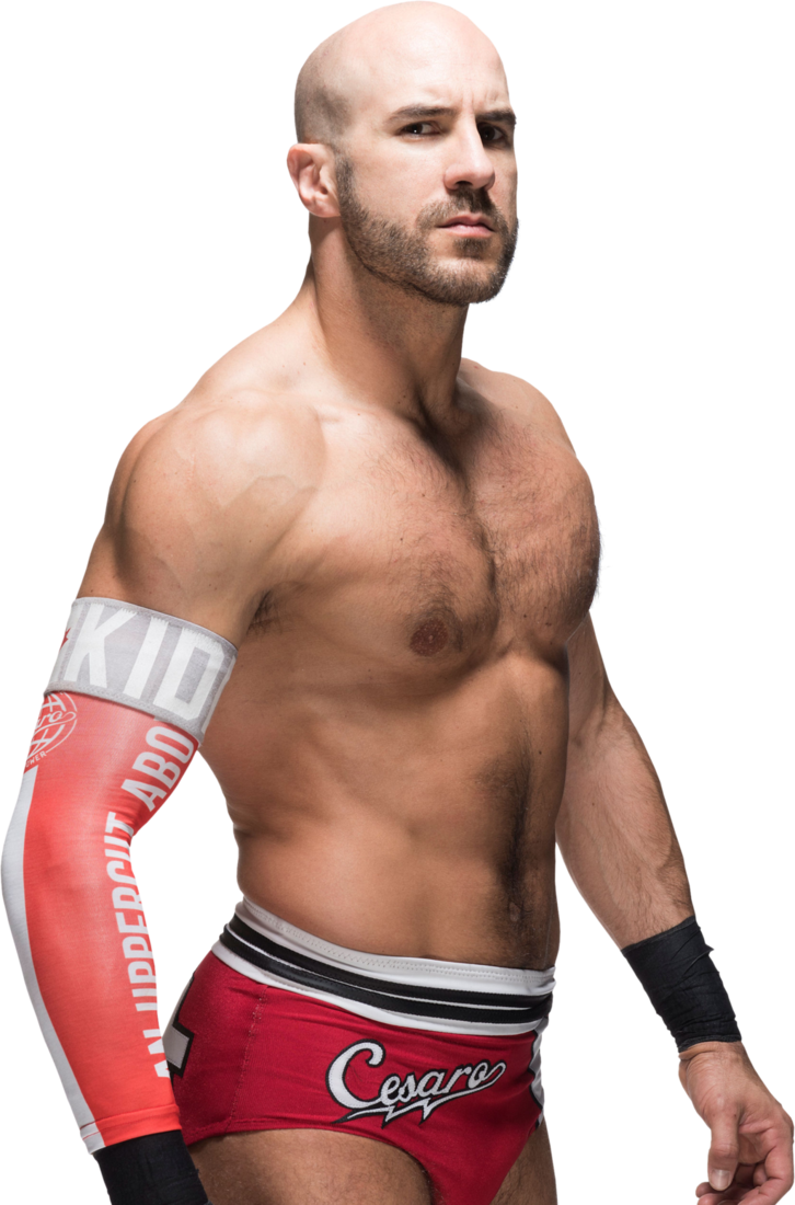 Cesaro Png - Current Wwe Male Wrestlers Clipart (726x1100), Png Download