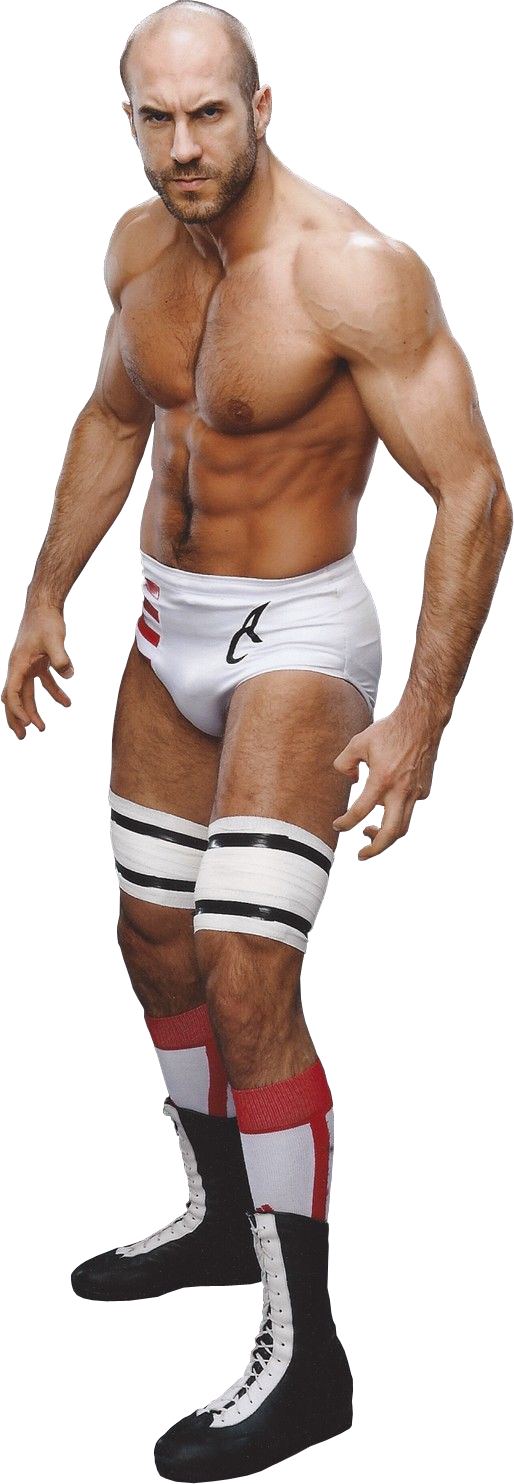 Cesaro Png - Cesaro Png 2016 Clipart (514x1484), Png Download