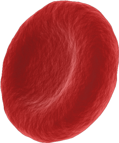 You Can Download The Single Red Cell Footage Here If - Red Hair Clipart (576x576), Png Download