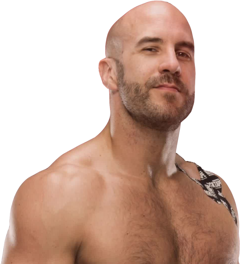 Wwe Cesaro Png 2016 Clipart (894x894), Png Download