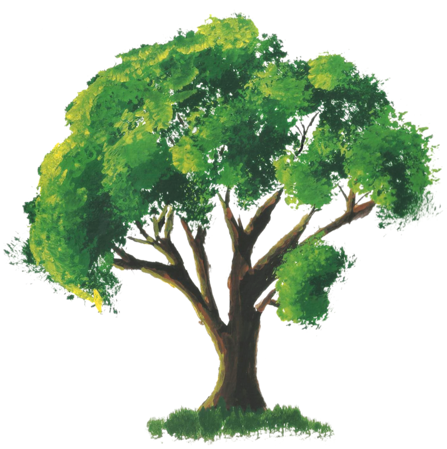 By Amit Grubstien - Watercolour Tree Transparent Background Clipart (901x887), Png Download